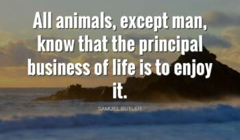 The Future of Prop Trading: Innovation and Growth