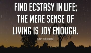 The Lifeblood of Markets: Understanding Market Liquidity