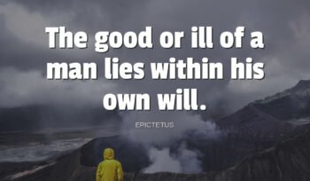 Continuous Model Validation – Quantum State Tomography